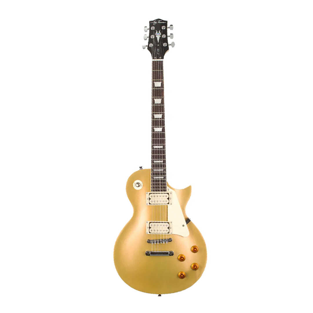 Jay Turser JT-220 Electric Guitar